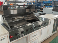 Meubles de cuisine extérieurs modernes en acier inoxydable écologiques avec portes vitrées, robinet, charnières, cuisinière et ensemble barbecue