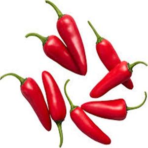 Piment rouge piquant naturel pur disponible au meilleur prix - Product Image 6