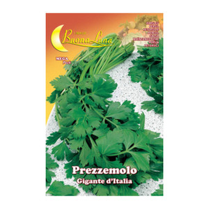 Semi Orto Prezzemolo Gigante - Product Image 1