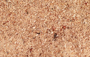 Meilleur prix pour les copeaux de sciure de bois de pin et d'acacia utilisés dans l'agriculture - Product Image 6