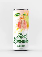 Oem Mousserende Harde Kombucha 250Ml/320Ml/500Ml Blikjes Natuurlijke Mango Appel Ananas Guave Fruit Smaken Groentesap