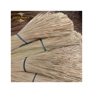 Balai en coco premium best-seller avec tête de balai en PP, durable et écologique, prêt à l'exportation, haute qualité du Vietnam - Product Image 1