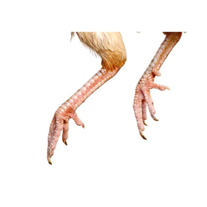 Poulet entier congelé halal avec pattes de poulet et parties du corps en vrac - Product Image 4