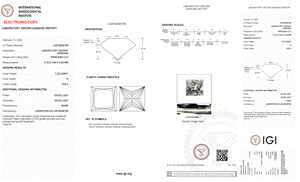 Collier avec bague de fiançailles et de mariage pour homme/femme, diamant de laboratoire SHRAMAN de haute qualité, 1,23 TCW, VVS2, taille princesse, certifié IGI - Product Image 6