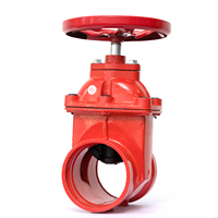 Válvula de Compuerta Ranurada de Vástago Fijo para Alta Temperatura DN50-DN300, Aprobada para Agua, Venta Caliente, Cuerpo de Hierro Dúctil Manual Personalizado