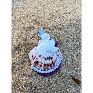 Summer Style Hair Accessories with Seashell <b>Charms</b> for Beachwear, Festivals, <b>Travel</b> Looks, and Tropical Hair Fashion - Product Image 2