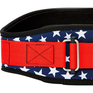 Ceinture d'entraînement pour dips, tractions et squats, équipement de fitness, ceinture de plongée avec design personnalisé - Product Image 6