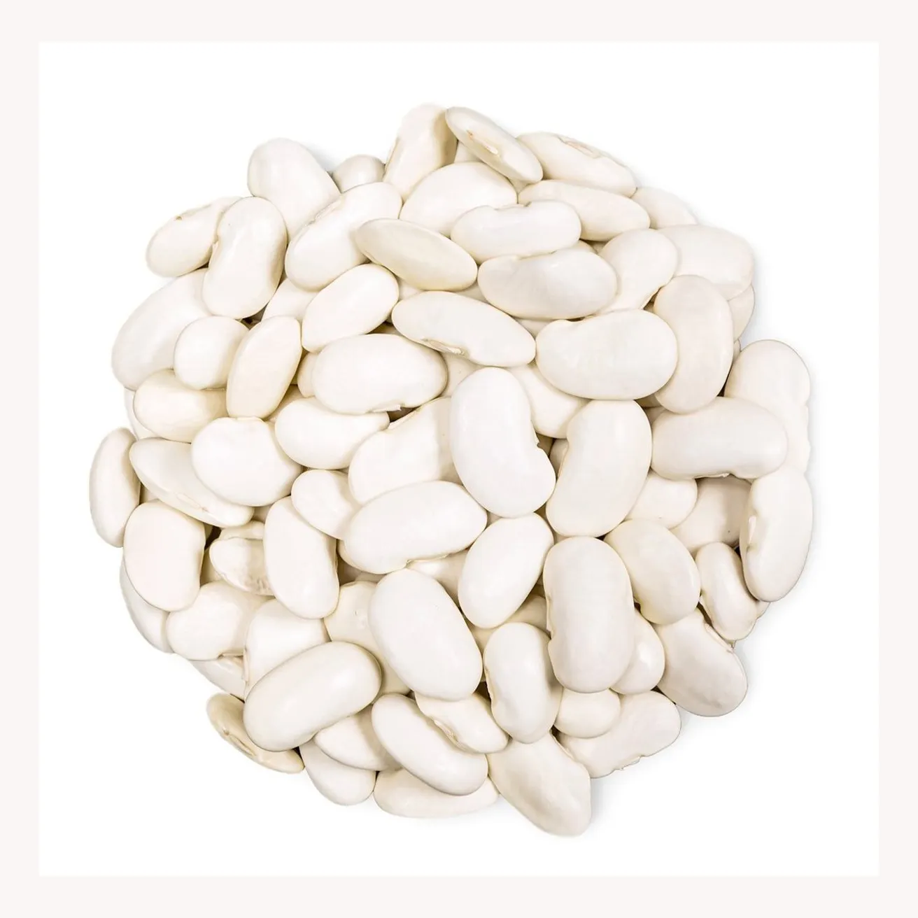 Wholesale Supplier Best Quality white kidney Beans For Sale In Cheap Price