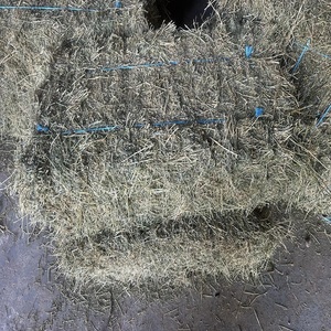 Heno de alfalfa para comercio global, alimento animal rico en proteínas para agricultores y distribuidores internacionales. En venta. - Product Image 6