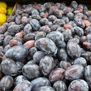 พลัมสดคุณภาพพรีเมียม - พันธุ์วิคตอเรียสีม่วงหวานและแบล็คไดมอนด์ - ผลไม้เกรดส่งออก - ค่าบริกซ์สูง 12%+ - Product Image 6