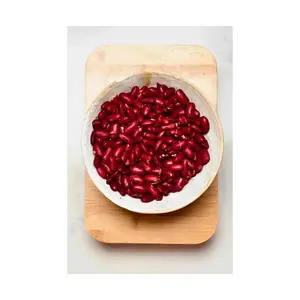 购买便宜的深红色芸豆长形芸豆出售像芸豆一样的豆类