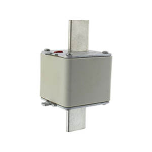 Fusible 170M6813D, 690V, conçu pour une protection sécurisée des circuits dans les applications industrielles - Product Image 1