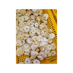 Morceaux d'ananas biologiques séchés sans sucre ajouté, parfaits pour l'exportateur de distribution en gros et au détail du Viet Nam - Product Image 1
