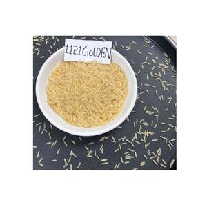 Arroz Pusa Basmati Golden Sella de grano largo de calidad superior, textura seca y dura con aroma rico y tamaño consistente - Product Image 1