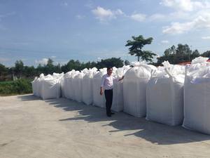 Alimento para animales, producto Natural de ensilaje de maíz, precio al por mayor de Vietnam - Product Image 6