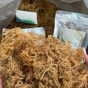 ราคาที่ดีที่สุด100เปอร์เซ็นต์มอสทะเลทองคำบริสุทธิ์และทะเลสีม่วงจากเวียดนาม - Product Image 4