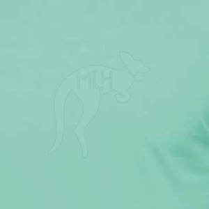 T-shirts taille adulte pour hommes faits sur mesure 100% coton haute qualité écologique respirant concevez vos propres T-shirts au meilleur prix - Product Image 6