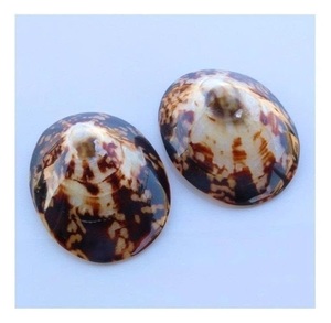 Coquilles de limpette naturelles pour l'allaitement, protection et soulagement des mamelons fissurés - Product Image 1