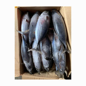 Atún congelado de alta calidad listo para venta al por mayor a distribuidores y minoristas - Product Image 1