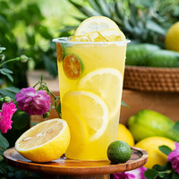 Sirop de jus de citron halal 1,2 kg, bouteille de jus de citron concentré, facile à conserver, pour la préparation de thé et de boissons