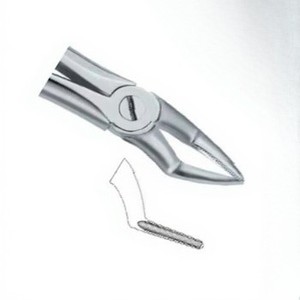 Pince d'extraction de dents Fig51 A Top Meilleure qualité Produits de logo personnalisé Instruments dentaires en acier inoxydable de haute qualité - Product Image 4