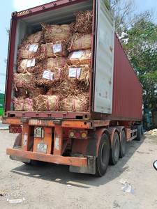 Fibra de jacinto de agua sostenible de Vietnam para la fabricación artesanal y ecológica de productos - Product Image 2