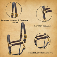 Harnais en cuir de qualité supérieure avec ferrures en laiton, durable et élégant, pour l'entraînement des chevaux, l'équitation anglaise, l'écurie et les concours, taille personnalisable