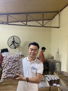 ถุงสูญญากาศอาหารที่มีสุขภาพดีมีคุณค่าทางโภชนาการ25มม. ถั่วแมคคาเดเมีย100% แห้งแตก - Product Image 5