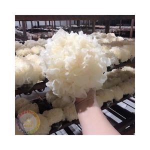 Tremella dried snow <b>mushroom</b> natural material perfect for food preparation in various recipes sourced directly in Vietnam - Product Image 1
