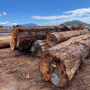 Madera de Cedro Rojo Occidental, Madera Blanda Natural de Primera Calidad, Diseño Moderno Disponible al por Mayor para Aplicaciones Interiores de Hoteles - Product Image 4