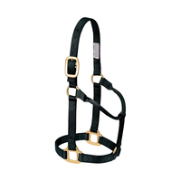 Fabricant professionnel de produits équestres, licol d'entraînement avec longe pour l'équitation, licols équestres, longes