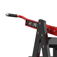 Machine d'extension des triceps professionnelle, équipement de musculation pour isolation des triceps, entraînement des bras, RS-1031