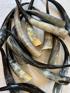 Cuernos de Vaca Naturales Pulidos de Primera Calidad, Cuernos para Beber Decorativos, Impermeables, Hechos a Mano por ZEHRA INDUSTRIES, Cuernos Gigantes Auténticos para Manualidades - Product Image 5