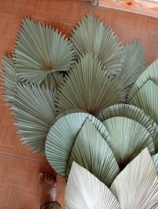 Colgante de pared de hoja de palma hecho a mano para decoración de tiendas y restaurantes de Vigifarm Vietnam productos de artesanía - Product Image 3