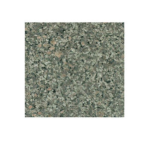 Losa de granito verde de primera calidad Diseño tropical moderno Superficie pulida Granito de diseñador de alta venta disponible a precio - Product Image 2