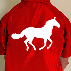 Wholesale Men's Autumn Streetwear Plus Size Breathable Quick Dry High Street Style 100% Cotton T-Shirt Shorts Two-Piece <b>Set</b> - Product Image 6