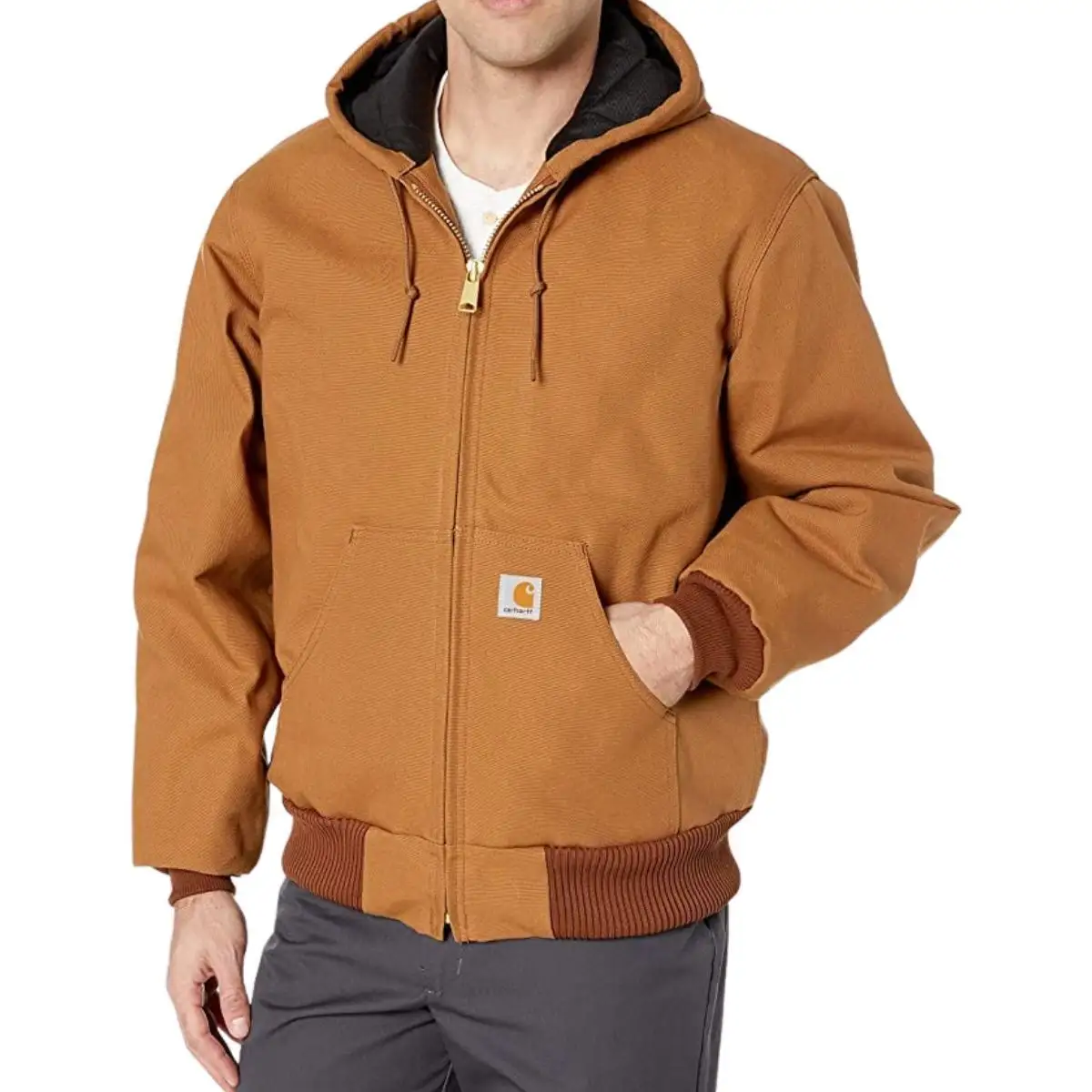 도매 최신 디자인 하이 퀄리티 소프트 쉘 재킷 저렴한 가격 최고 트렌드 편안한