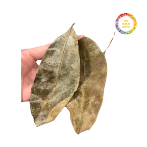 ใบเปรี้ยวจากเวียดนามมีคุณภาพสูง - Product Image 3