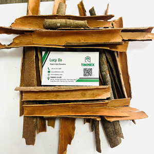 Vietnam Split Broken Cassia Spezzato Divisee/Palitos divididos de canela de primera calidad al por mayor a precio de fábrica barato - Product Image 1