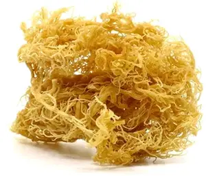 LARGE QUANTITY 100% RAW DRIED SEA MOSS ORIGIN VIETNAM- COMPETITIVE PRICE ORGANIC SEA MOSS- READY TO SHIP