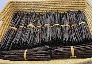 Vainilla Bourbon de Madagascar de Primera Calidad al por Mayor, 100% Natural, Seca, Planifolia, 14-21 cm, Vaina Sin Dividir - Product Image 4