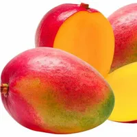 Gusto Super delizioso fresco Mango verde di qualità Premium-esportazione di frutta intera