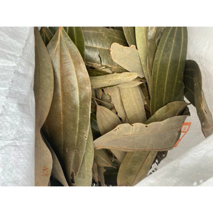 อบเชย Type-1ขนาดใหญ่สม่ำเสมอและมีคุณภาพสูงส่งออกทั่วโลกในปริมาณมาก - Product Image 6