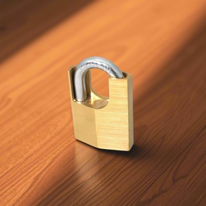 Candado de Latón Macizo Tipo D de Doble Palanca, Ecológico, Seguro, Impermeable IP65, Antirrobo, con 3 Llaves - Product Image 2