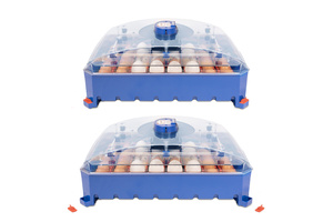 High Productivity Incubator Lumia 56 Expert <b>Eggs</b> Wholesale Large Capacity <b>Egg</b> Incubator With Silicone Cable Resistor in Italy - Product Image 3