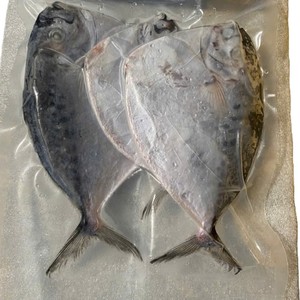 Pescado de Luna Entero Congelado IQF de Primera Calidad de Vietnam con Envasado al Vacío y 24 Meses de Vida Útil para Exportación - Product Image 2