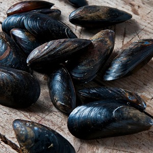 Cozze Surgelate di Alta Qualità, Sapore Naturale, Frutti di Mare Freschi, Fornitura all'Ingrosso per Hotel, Ristoranti e Mercati Globali di Frutti di Mare - Product Image 4