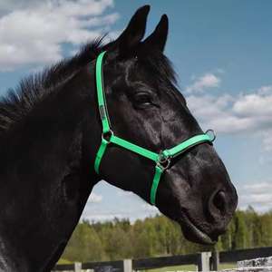 Nylon Horse Halter Customized Designed <b>Equestrian</b> Horse Racing Bridle - Product Image 2