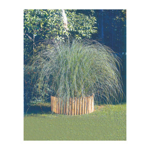 Rollborder in Pino Impregnato 5 cm x 20h x 180l - Product Image 1