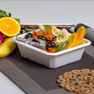 Cuencos de bagazo desechables duraderos y ecológicos, compostables, biodegradables, tamaño personalizado, catering moderno, fiestas, bodas grandes - Product Image 3